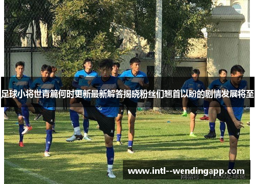 足球小将世青篇何时更新最新解答揭晓粉丝们翘首以盼的剧情发展将至